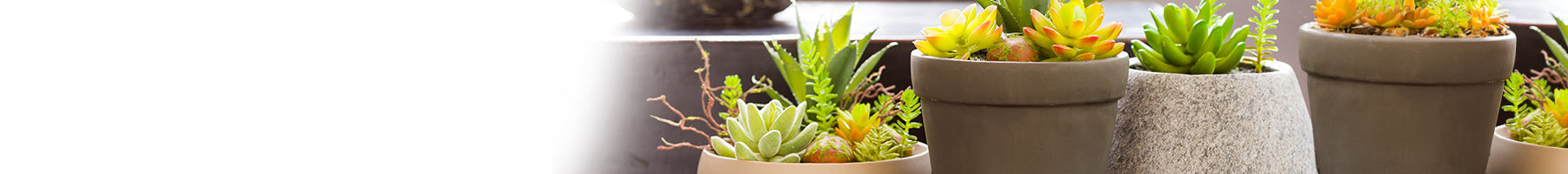 Banner_Smallwares_Decorative_Faux-Potted-Plants_114