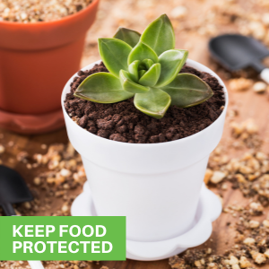 Keep Food Protected