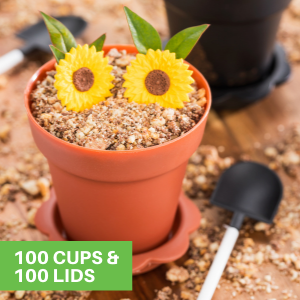 100 Cups & 100 Lids