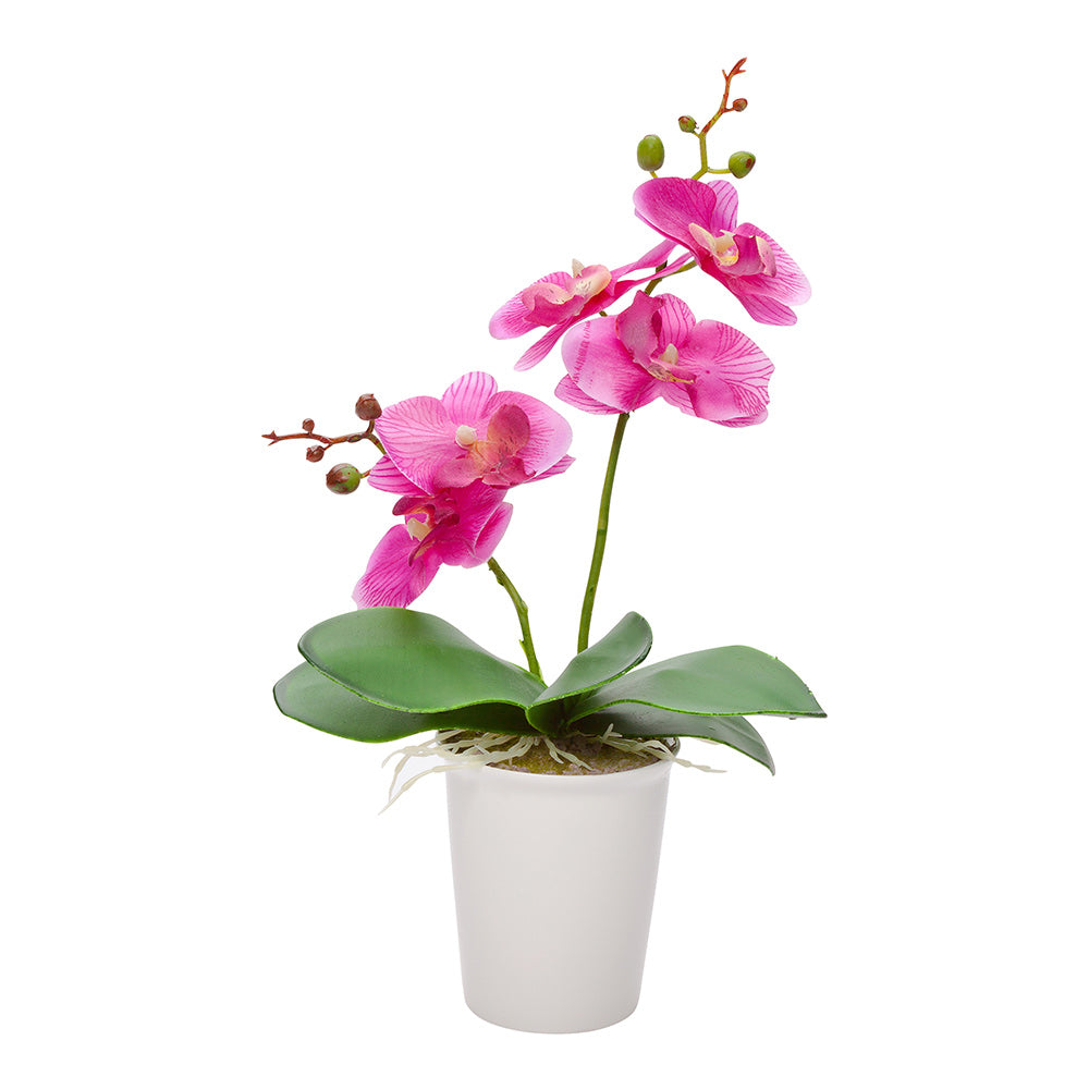 Fiore Round Purple Plastic Orchid in Porcelain Pot - 5 Blooms - 4" x 4" x 14" - 12 count box