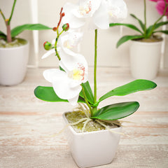 Fiore White Plastic Orchid in Plastic Pot - 5 blooms - 4