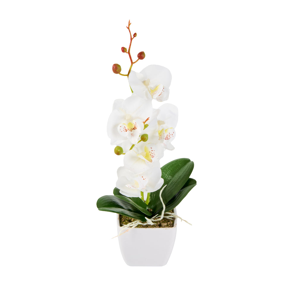 Fiore White Plastic Orchid in Plastic Pot - 5 Blooms - 4" x 4" x 13" - 12 count box