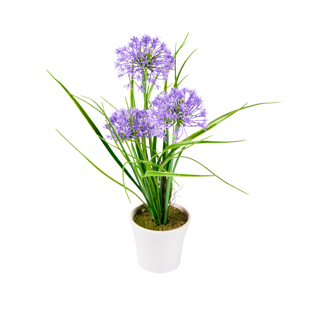 Fiore Round Violet Plastic Violet Allium in Plastic Pot - 4" x 4" x 14" - 12 count box