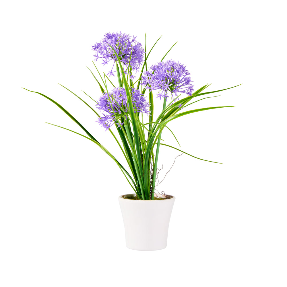 Fiore Round Violet Plastic Violet Allium in Plastic Pot - 4" x 4" x 14" - 12 count box