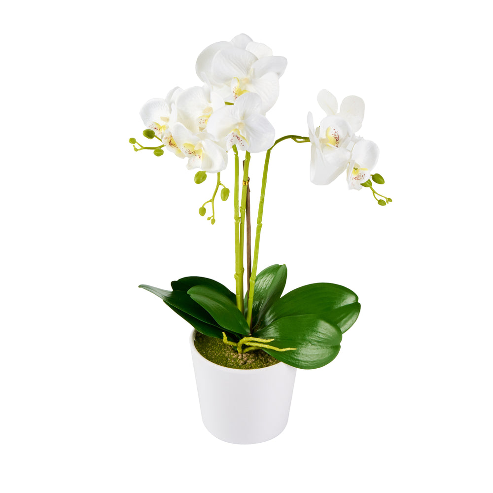 Fiore White Plastic Orchid in Plastic Pot - 12 Blooms - 5 1/2" x 5 1/2" x 19" - 6 count box