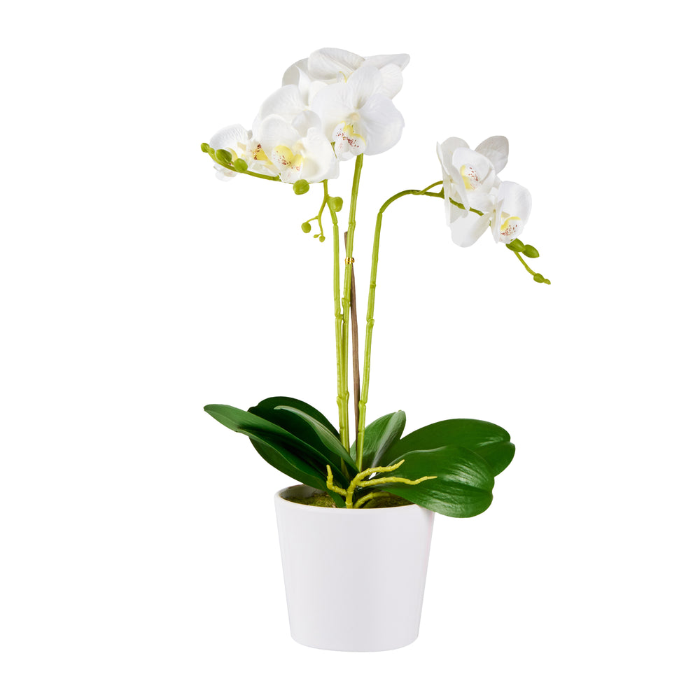 Fiore White Plastic Orchid in Plastic Pot - 12 Blooms - 5 1/2" x 5 1/2" x 19" - 6 count box