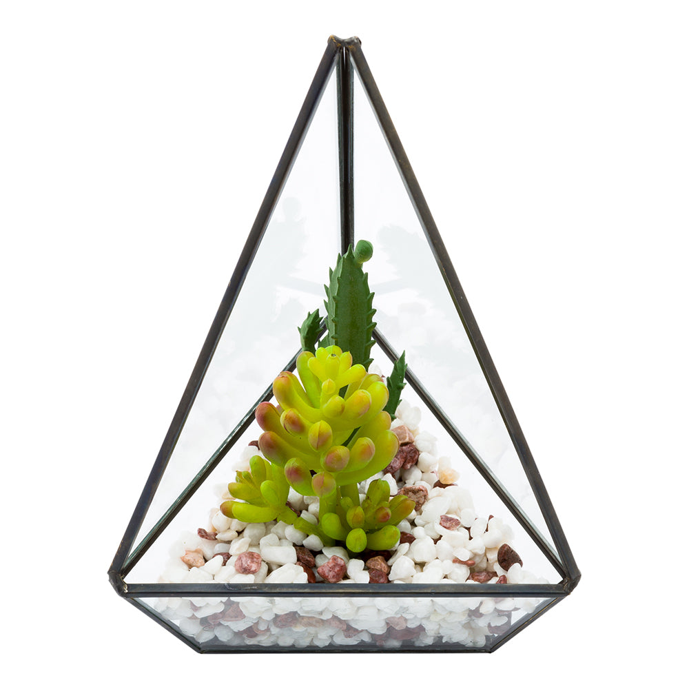 Plastic Table Art Faux Succulent Arrangement - Triangular Glass Terrarium, Black - 8 1/2" x 5" x 3 1/2" - 1 count box