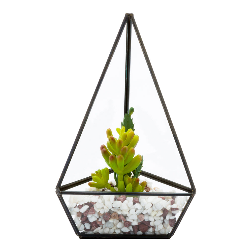 Plastic Table Art Faux Succulent Arrangement - Triangular Glass Terrarium, Black - 8 1/2" x 5" x 3 1/2" - 1 count box