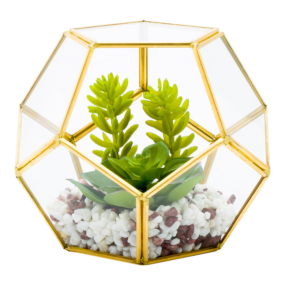 Plastic Table Art Faux Succulent Arrangement - Pentagon Glass Terrarium, Gold - 6 3/4" x 6 1/4" x 6 1/4" - 1 count box