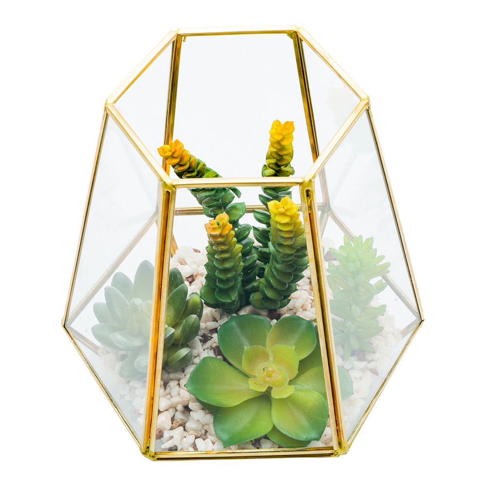 Plastic Table Art Faux Succulent Arrangement - Hexagonal Glass Terrarium, Bronze - 7" x 6 1/2" x 8" - 1 count box