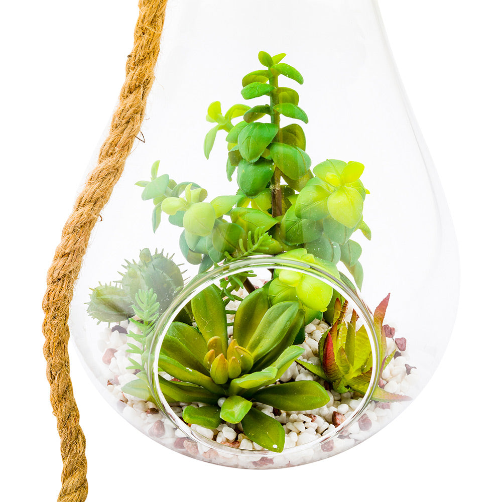 Plastic Table Art Faux Succulent Arrangement - Hanging Glass Terrarium, Knotted Hemp Rope - 7 3/4" x 7 3/4" x 12 1/2" - 1 count box