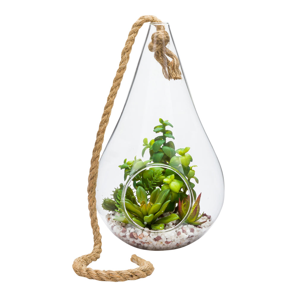 Plastic Table Art Faux Succulent Arrangement - Hanging Glass Terrarium, Knotted Hemp Rope - 7 3/4" x 7 3/4" x 12 1/2" - 1 count box