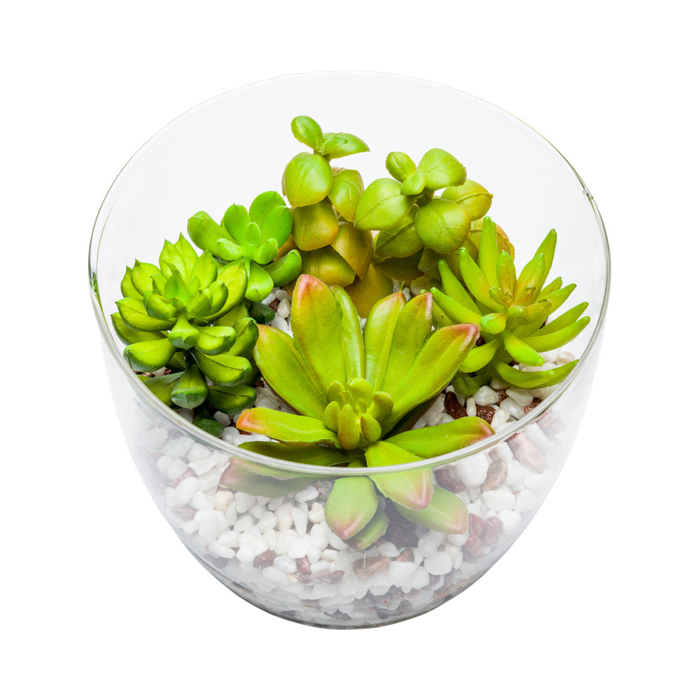 Plastic Table Art Faux Succulent Arrangement - Glass Terrarium Vase - 5 1/2" x 5 1/2" x 5" - 1 count box