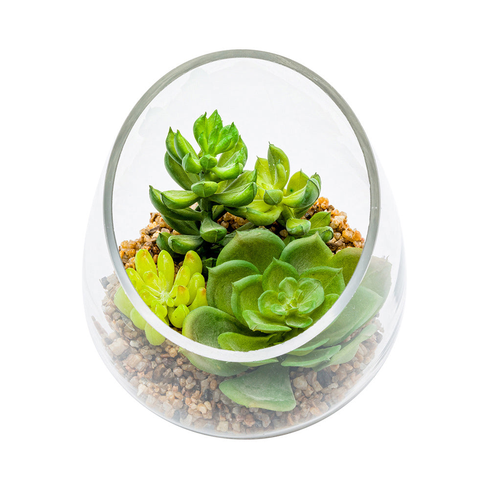 Plastic Table Art Faux Succulent Arrangement - Incline Edge Glass Terrarium - 4 3/4" x 4 3/4" x 5" - 1 count box