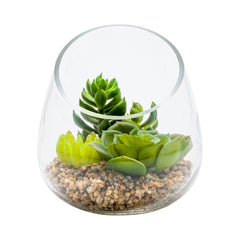 Plastic Table Art Faux Succulent Arrangement - Incline Edge Glass Terrarium - 4 3/4