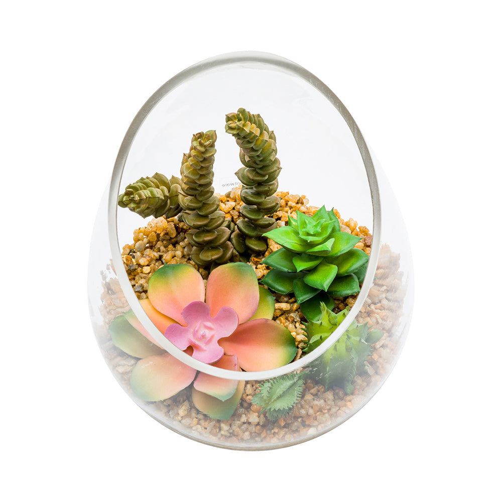 Plastic Table Art Faux Succulent Arrangement - Incline Edge Glass Terrarium - 6" x 6" x 7" - 1 count box