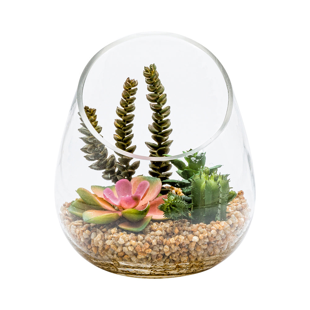 Plastic Table Art Faux Succulent Arrangement - Incline Edge Glass Terrarium - 6" x 6" x 7" - 1 count box