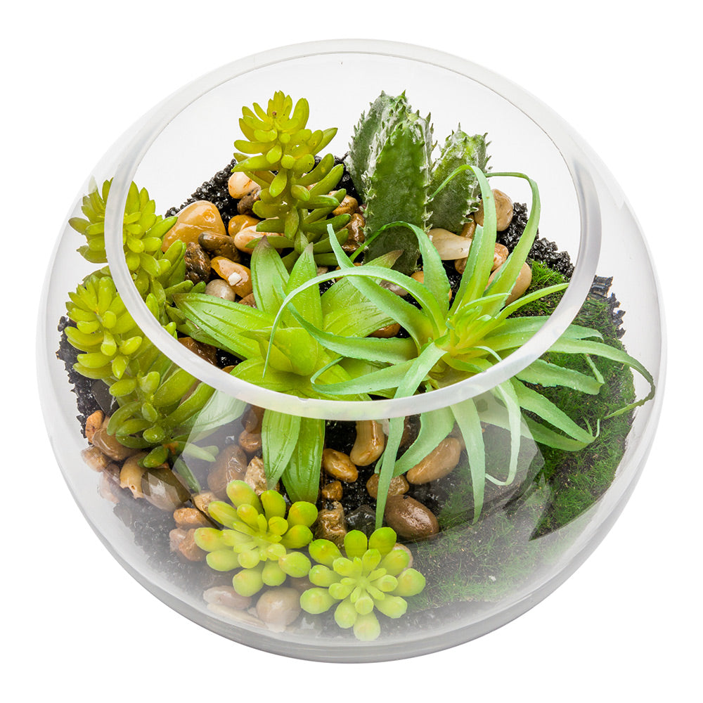 Plastic Table Art Faux Succulent Arrangement - Fishbowl Glass Terrarium - 7" x 7" x 5 1/2" - 1 count box