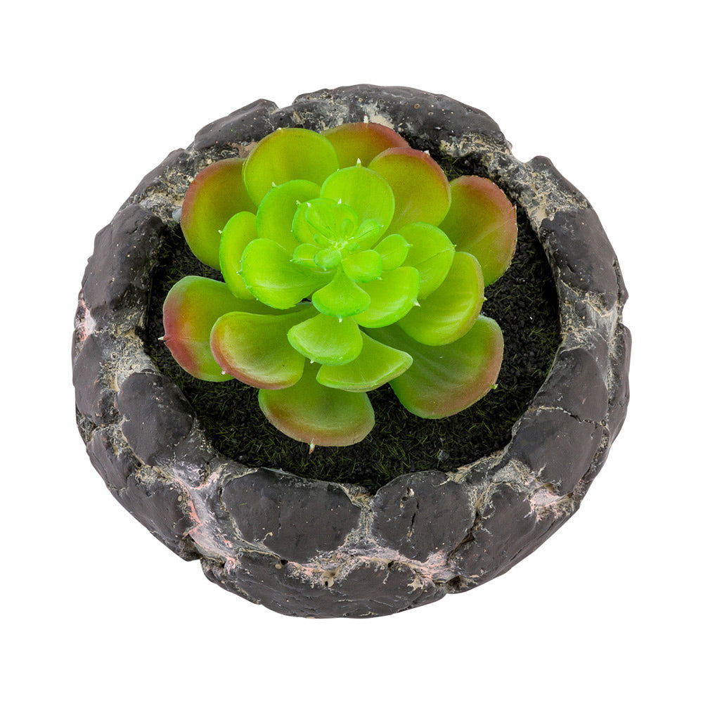 Plastic Table Art Faux Succulent Arrangement - Faux Volcanic Rock, Cement Planter - 6" x 6" x 4 1/2" - 1 count box