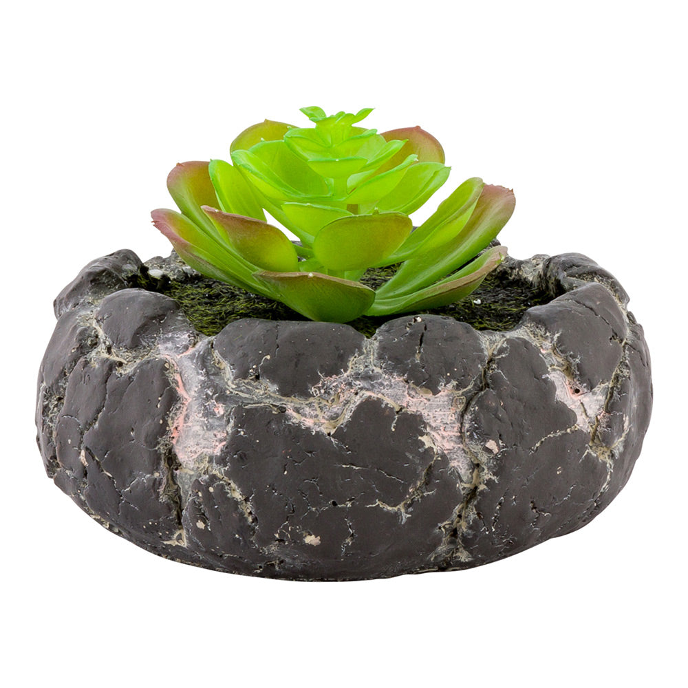 Plastic Table Art Faux Succulent Arrangement - Faux Volcanic Rock, Cement Planter - 6" x 6" x 4 1/2" - 1 count box