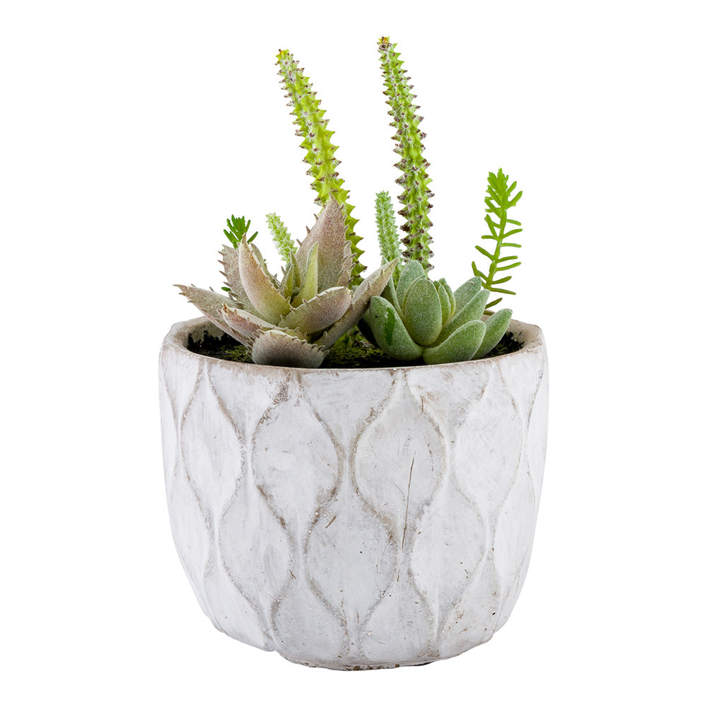 Plastic Table Art Faux Succulent Arrangement - Concrete Planter, Light Gray - 6" x 6" x 7 3/4" - 1 count box