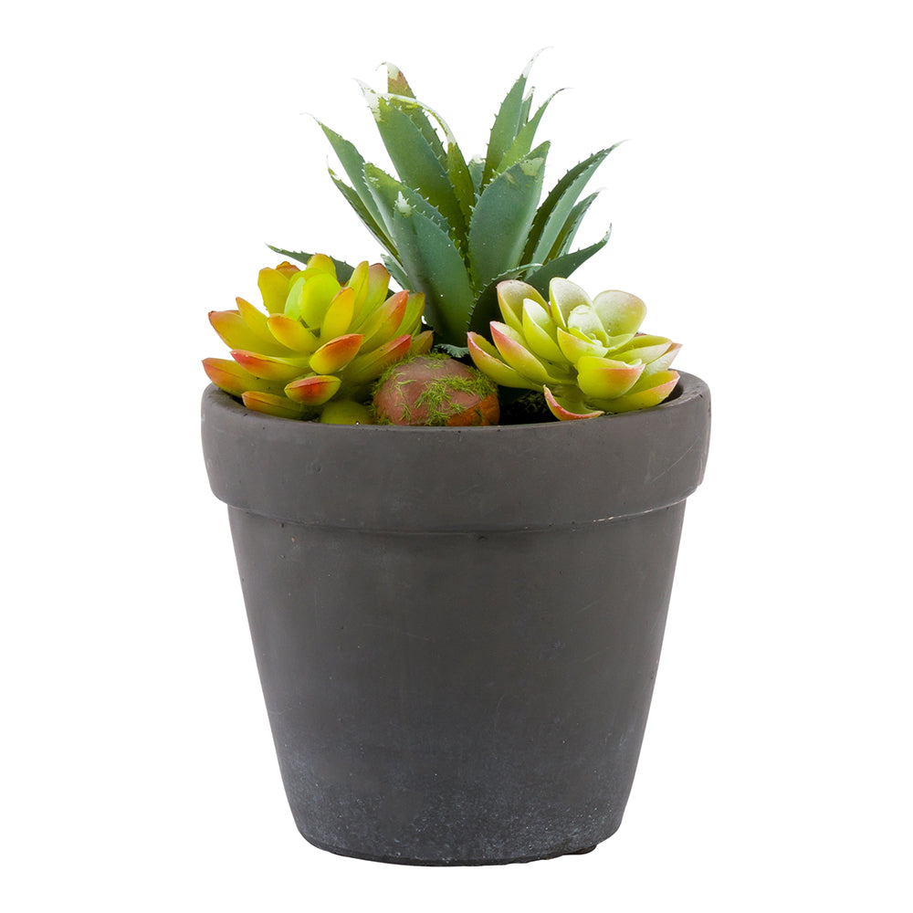 Plastic Table Art Faux Succulent Arrangement - Cement Flower Pot, Brushed Charcoal - 5 1/2" x 5 1/2" x 9" - 1 count box