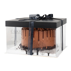 Sweet Vision Square Clear Plastic Cake Box - Black Lid and White Base, Black Ribbon, Tree Accent - 10