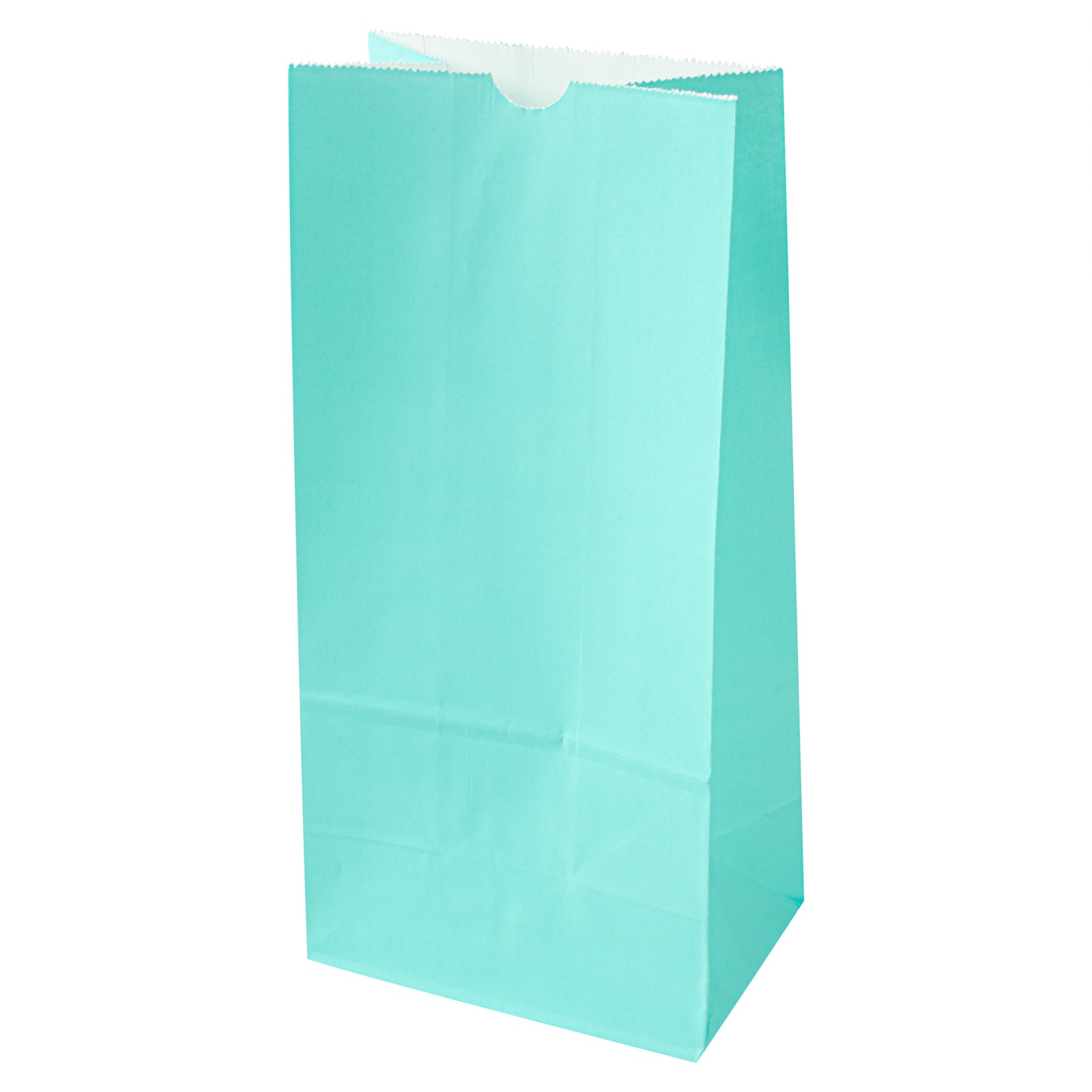 Bag Tek Turquoise Paper Bag - 8 lb - 6" x 4" x 11 3/4" - 100 count box