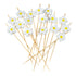 White Bamboo Daisy Skewer - 4 3/4" - 1000 count box