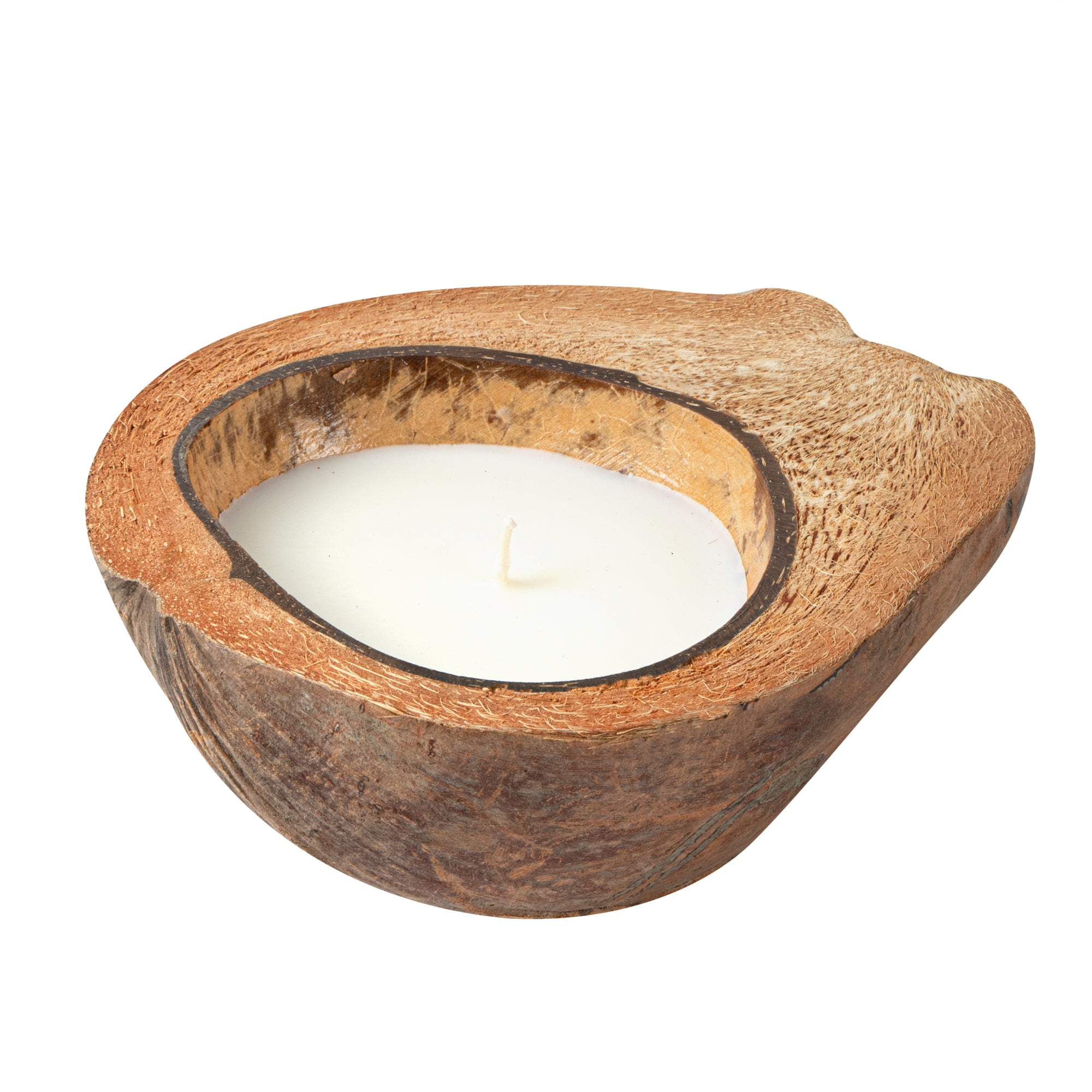 Coco Casa Handmade Coconut Shell Husk Candle - Lavender - 6 1/2" x 6 1/2" x 2 1/2" - 10 count box