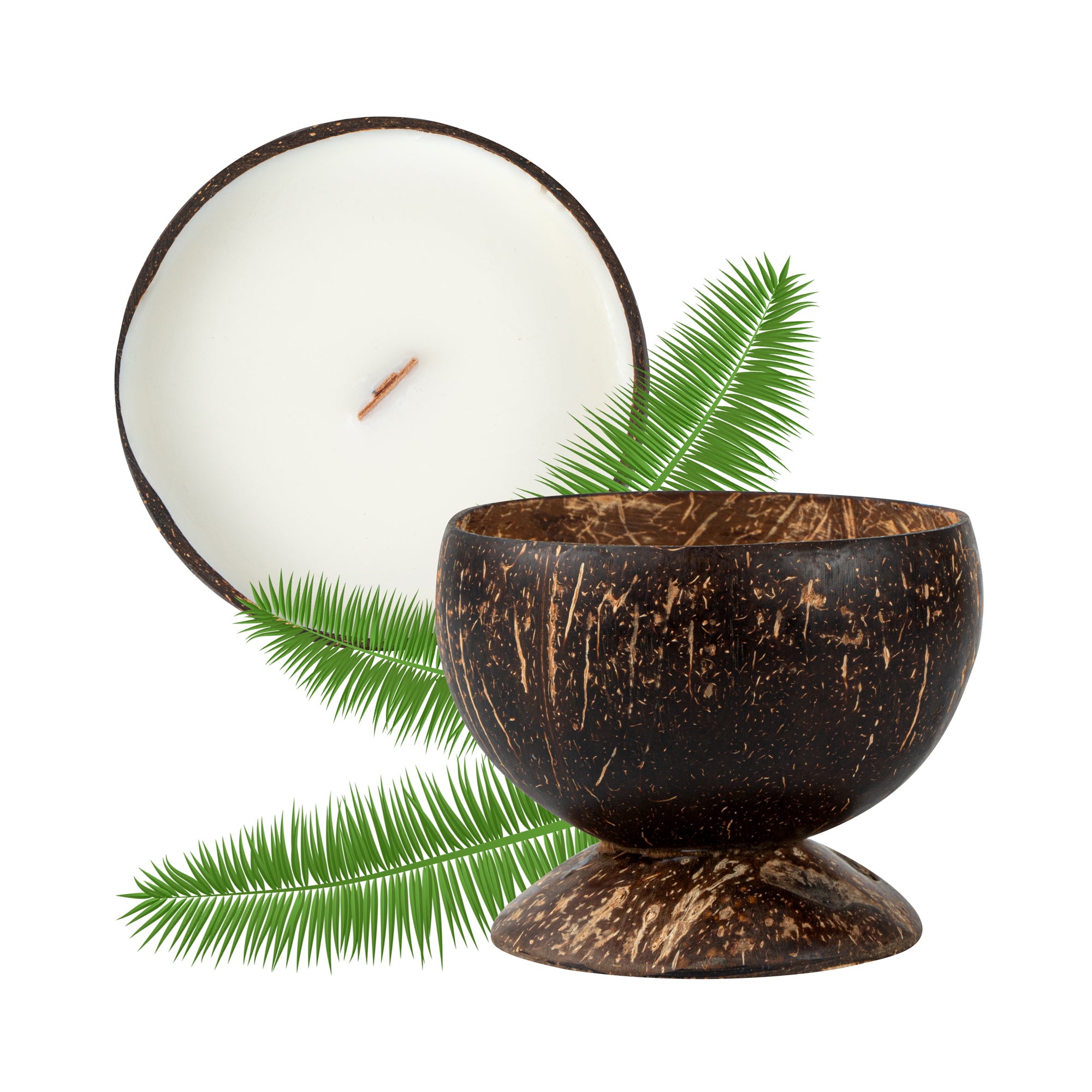 Coco Casa Handmade Coconut Candle Bowl - Sandalwood - 4" x 4" x 2 3/4" - 10 count box