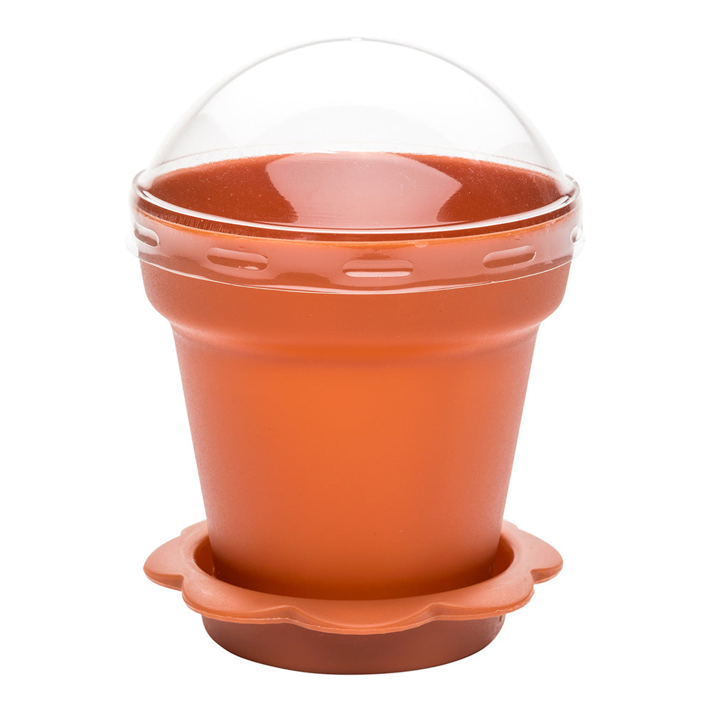 6 oz Terracotta Plastic Mini Flower Pot Cup - with Lid - 3" x 3" x 3" - 100 count box