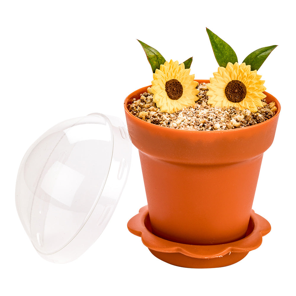 6 oz Terracotta Plastic Mini Flower Pot Cup - with Lid - 3" x 3" x 3" - 100 count box