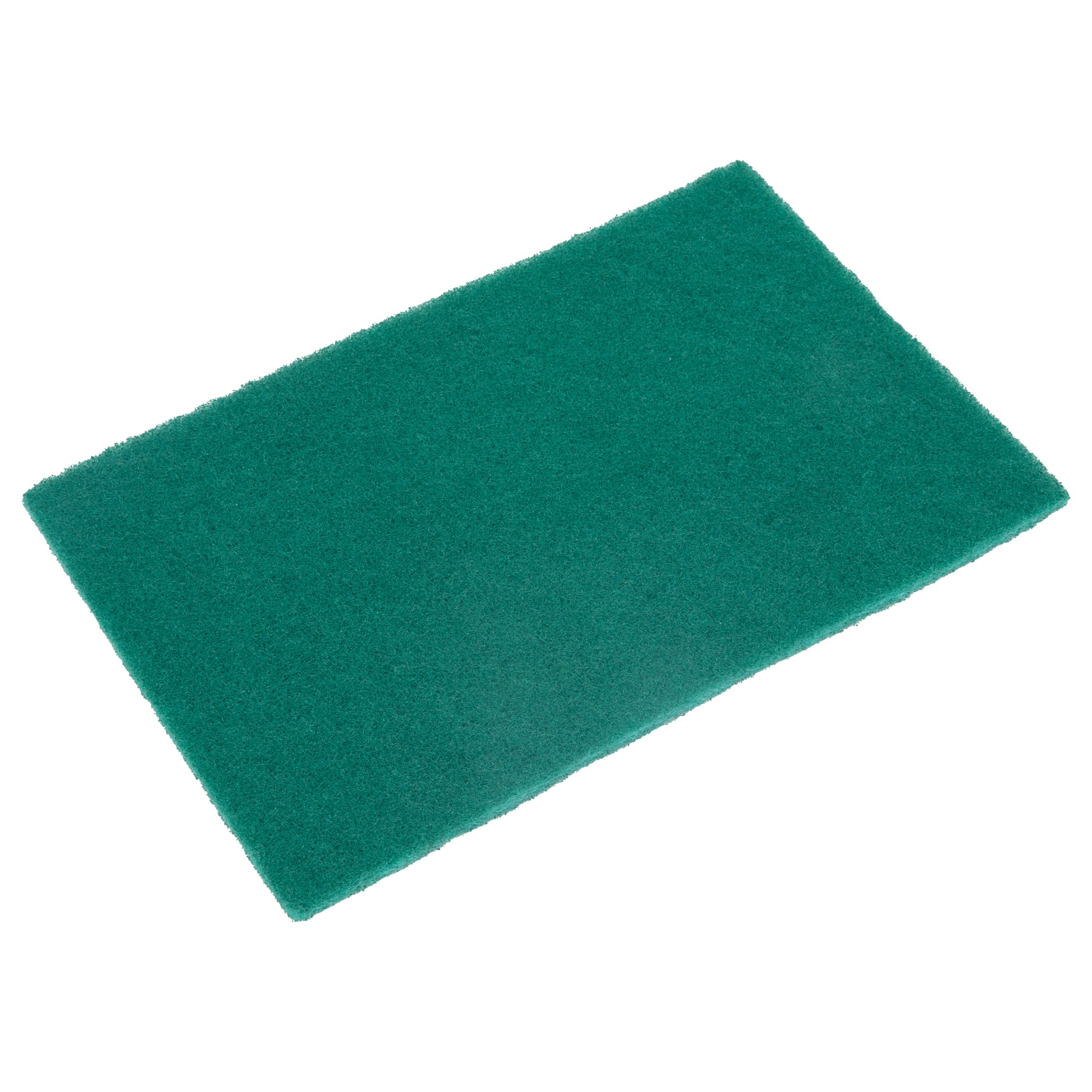 RW Clean Green Polyester Heavy-Duty Scouring Pad - 9" x 6" - 10 count box